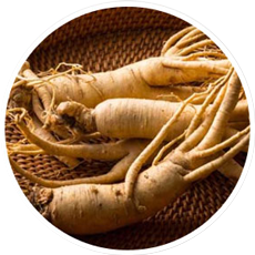 ginseng-300x300