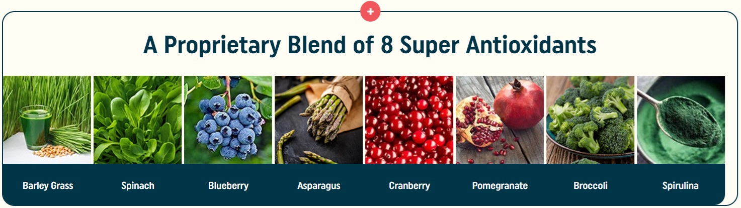 8 super antioxidants